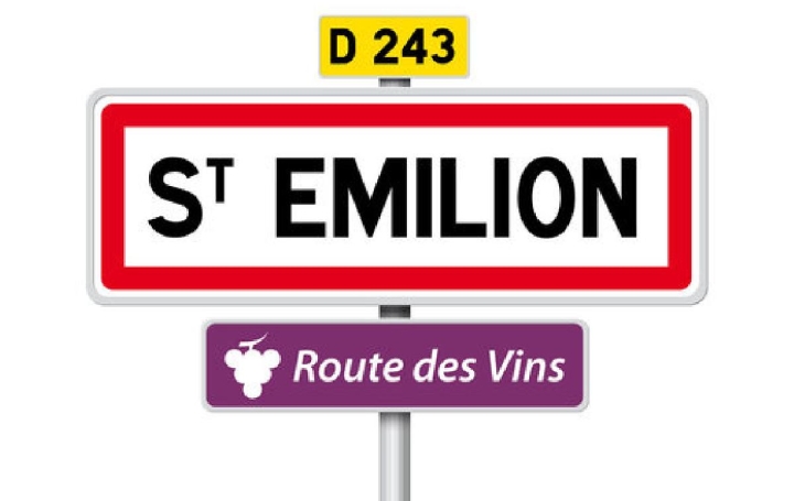 Terrain SAINT-SULPICE-DE-FALEYRENS (33330)  25 000 m2 850 000 € 