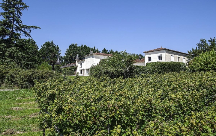 Terrain ESCOUSSANS (33760)  210 000 m2 1 650 000 € 