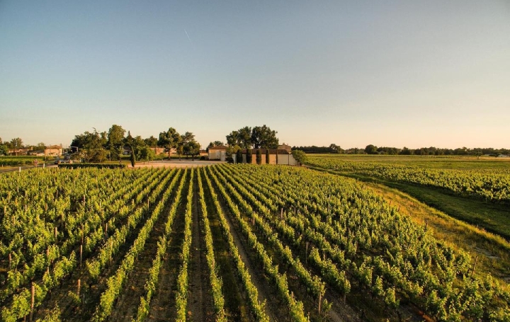 Propriété MOULIS-EN-MEDOC (33480)  600 m2 2 195 000 € 