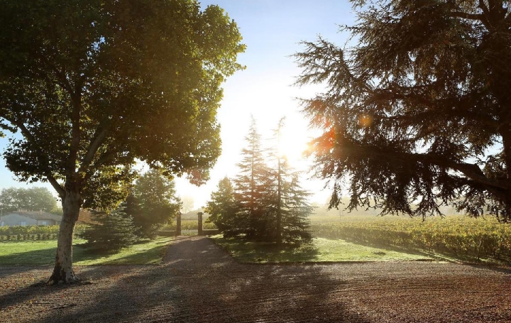 Propriété MOULIS-EN-MEDOC (33480)  600 m2 2 195 000 € 