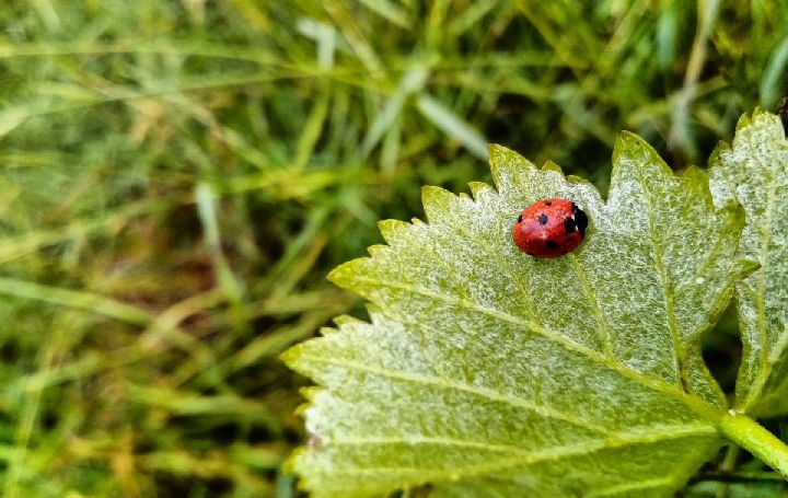 Propriété MOULIS-EN-MEDOC (33480)  600 m2 2 195 000 € 