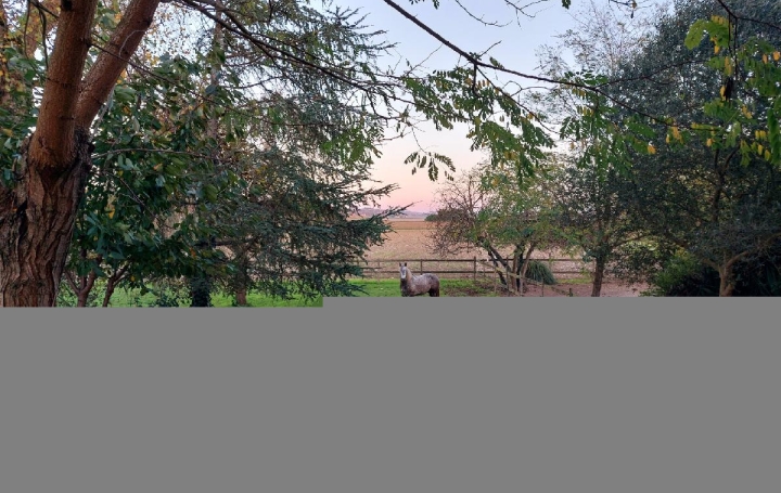 Maison LA REOLE (33190)  242 m2 446 770 € 