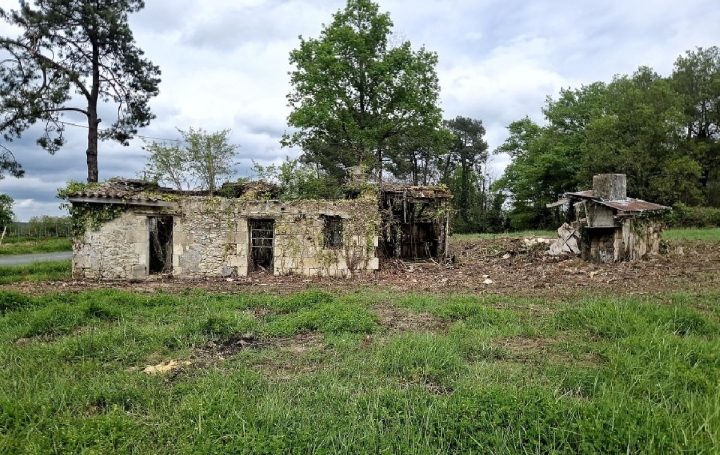 Terrain CANTOIS (33760)  11 000 m2 50 000 € 