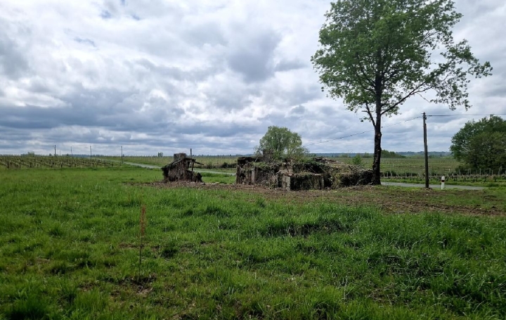 Terrain CANTOIS (33760)  11 000 m2 50 000 € 