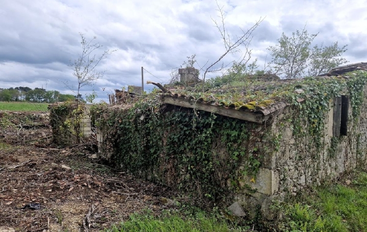 Terrain CANTOIS (33760)  11 000 m2 50 000 € 