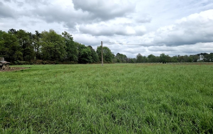 Terrain CANTOIS (33760)  11 000 m2 50 000 € 