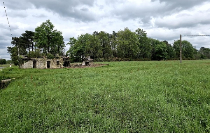 Terrain CANTOIS (33760)  11 000 m2 50 000 € 