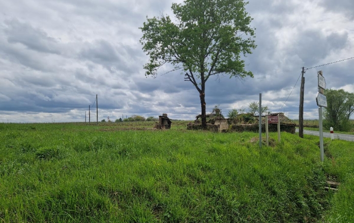 Terrain CANTOIS (33760)  11 000 m2 50 000 € 