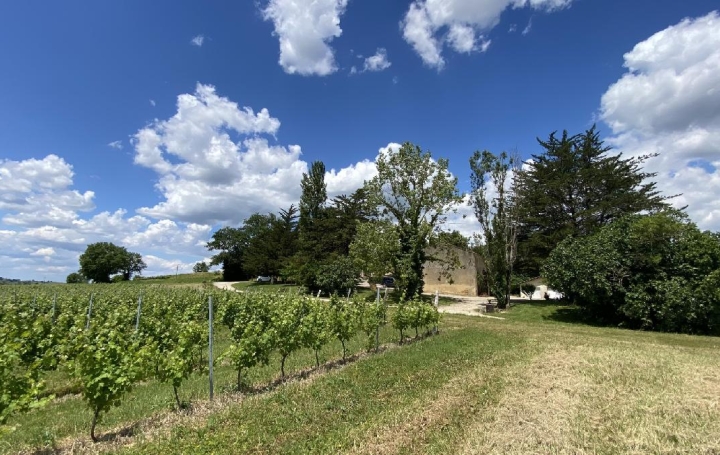 Maison SAINT-MARTIAL (33490)  300 m2 1 700 000 € 