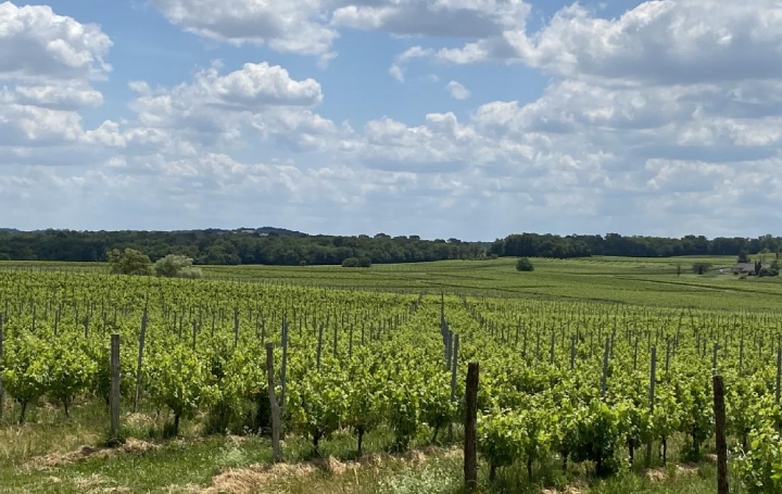 Maison SAINT-MARTIAL (33490)  300 m2 1 700 000 € 