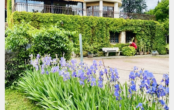 Maison VAISON-LA-ROMAINE (84110)  250 m2 483 000 € 