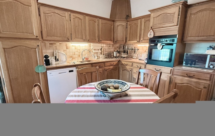 Maison VAISON-LA-ROMAINE (84110)  250 m2 483 000 € 