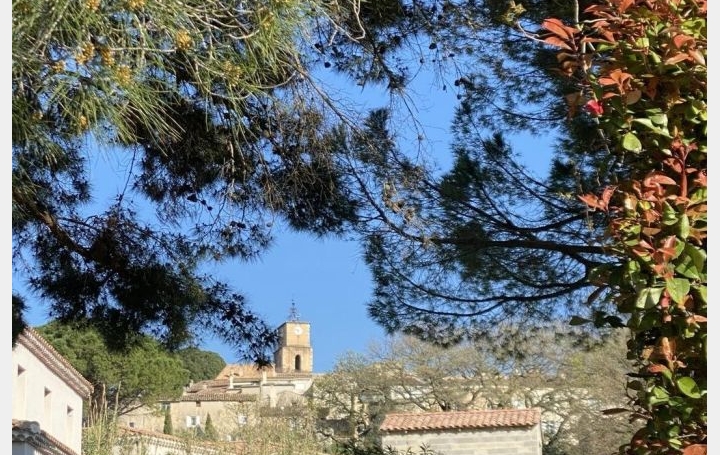 Terrain SABLET (84110)  1 000 m2 135 000 € 