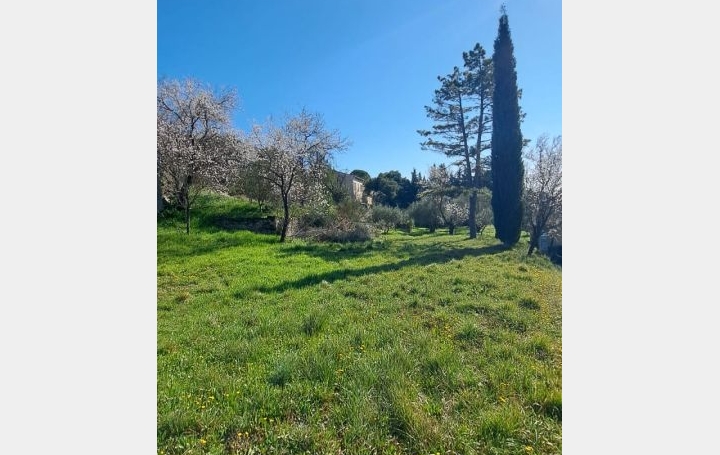 Terrain VACQUEYRAS (84190)   150 000 € 