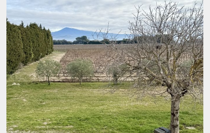 Maison SARRIANS (84260)  135 m2 440 000 € 