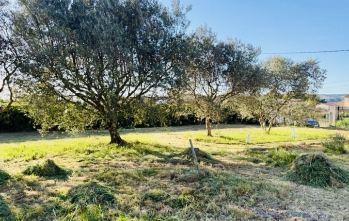 Villa SABLET (84110)  90 m2 399 000 € 