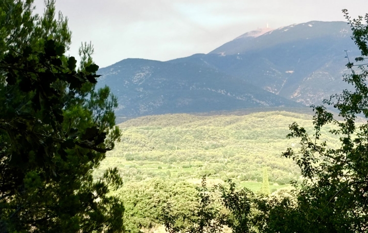 Terrain CRESTET (84110)  60 m2 216 000 € 