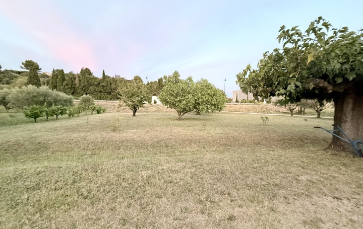 Terrain VACQUEYRAS (84190) 0 m<sup>2</sup> 320 000 € 