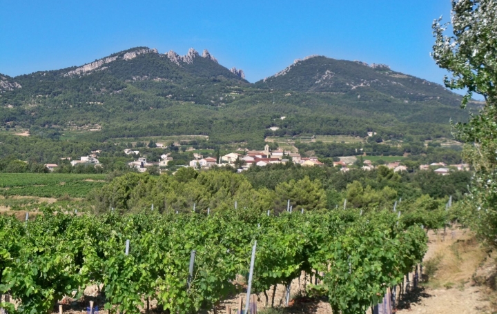 Terrain VACQUEYRAS (84190)   160 000 € 