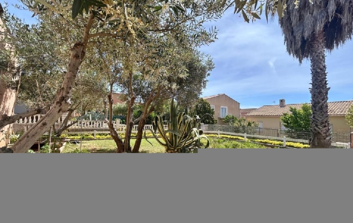 Maison FRONTIGNAN (34110)  130 m2 569 000 € 