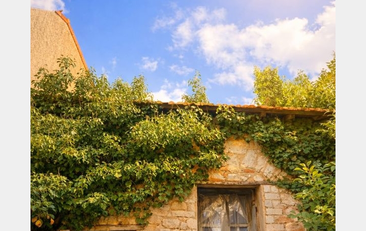 Maison de village BOUZIGUES (34140)  70 m2 265 000 € 