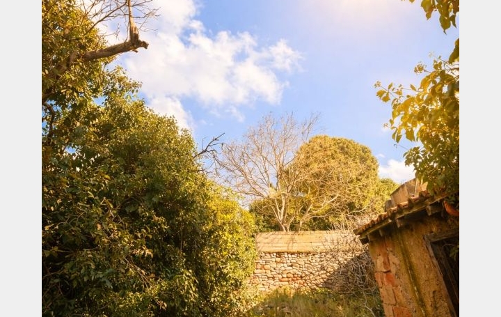 Maison de village BOUZIGUES (34140)  70 m2 265 000 € 