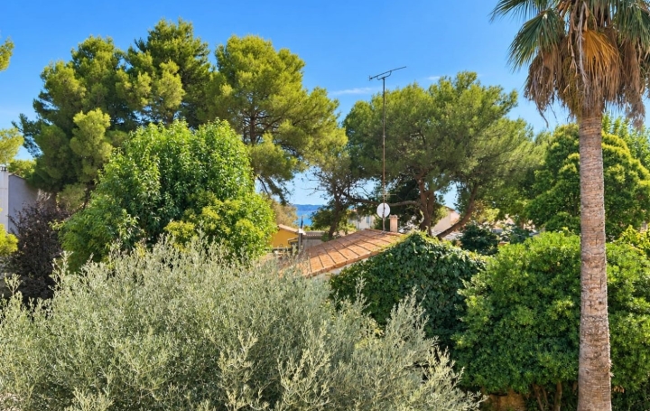 Maison de ville BOUZIGUES (34140)  210 m2 740 000 € 