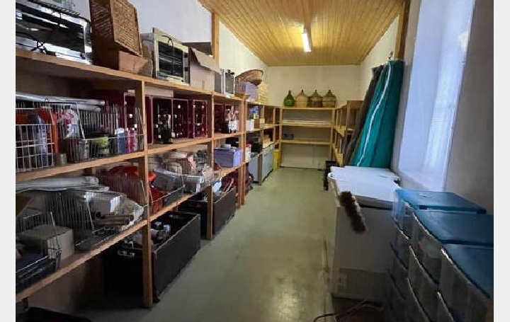 Maison PEYRAT-LE-CHATEAU (87470)  218 m2 77 000 € 