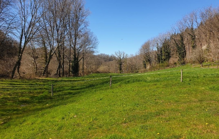 Maison SAINT-LEONARD-DE-NOBLAT (87400)  117 m2 217 000 € 