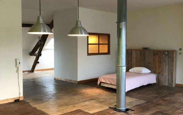 Maison CHATEAUNEUF-LA-FORET (87130)  194 m2 149 000 € 