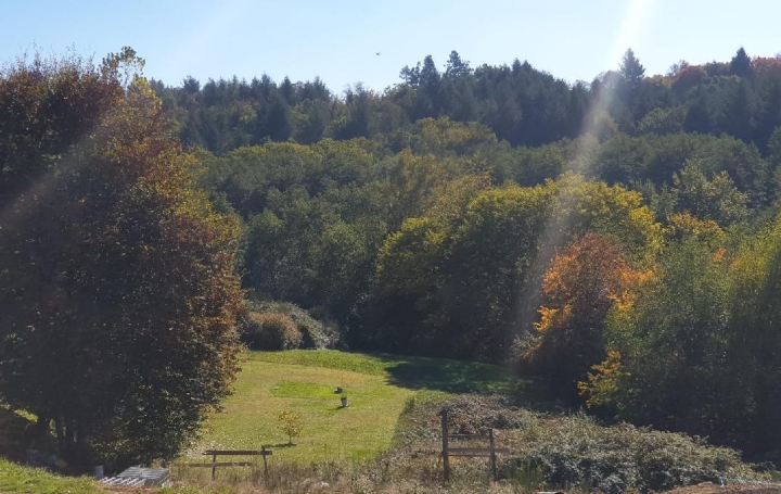 Maison SAINT-JUST-LE-MARTEL (87590)  131 m2 264 000 € 