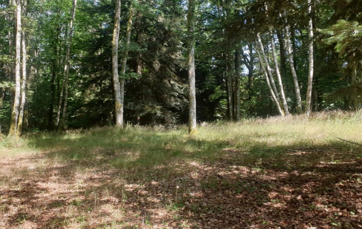 Maison LINARDS (87130)  139 m2 200 000 € 