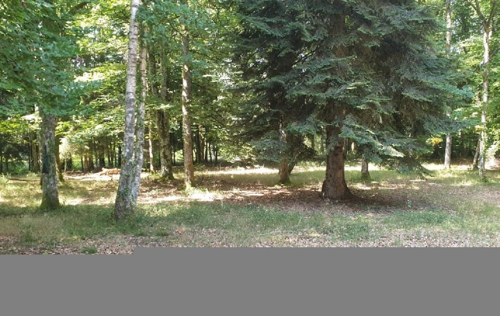 Maison LINARDS (87130)  139 m2 200 000 € 