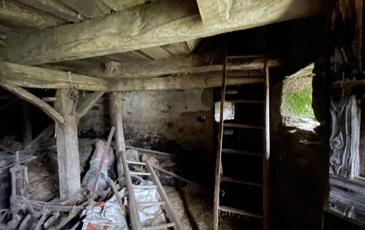 Immeuble PEROLS-SUR-VEZERE (19170)  100 m2 15 000 € 