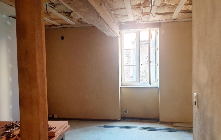 Immeuble SAINT-LEONARD-DE-NOBLAT (87400)  160 m2 98 000 € 