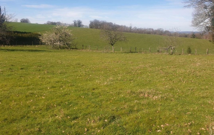 Terrain SAINT-MARTIN-TERRESSUS (87400) 1 660 m<sup>2</sup> 28 000 € 