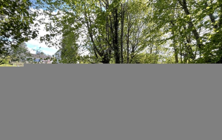 Terrain CHATEAUNEUF-LA-FORET (87130)  1 559 m2 16 500 € 