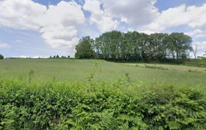 Terrain CHATEAUNEUF-LA-FORET (87130) 2 622 m<sup>2</sup> 13 500 € 