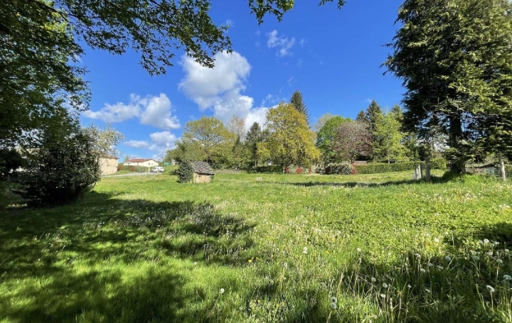 Terrain CHATEAUNEUF-LA-FORET (87130) 0 m<sup>2</sup> 16 500 € 