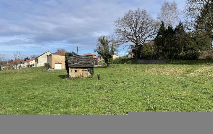 Terrain CHATEAUNEUF-LA-FORET (87130)   16 500 € 