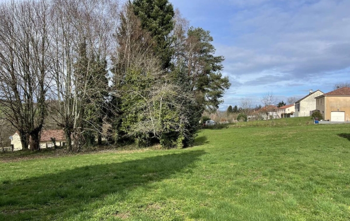 Terrain CHATEAUNEUF-LA-FORET (87130)   16 500 € 