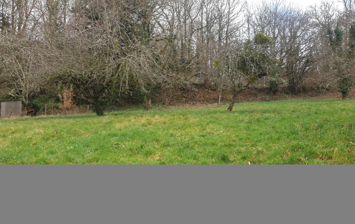 Terrain BOURGANEUF (23400)   18 500 € 