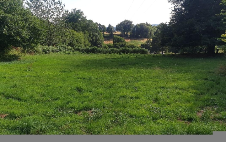 Réseau Immo-diffusion : Terrain  LA CROISILLE-SUR-BRIANCE  1 186 m2 13 000 € 