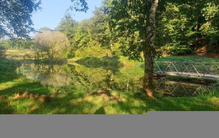 Terrain SAINT-LEONARD-DE-NOBLAT (87400)  21 498 m2 44 000 € 