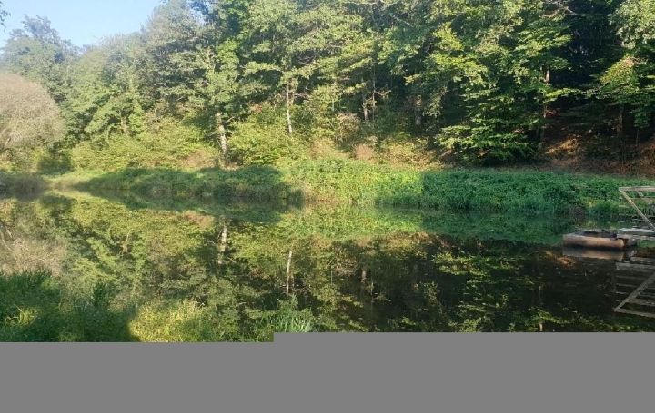 Terrain SAINT-LEONARD-DE-NOBLAT (87400)  21 498 m2 44 000 € 