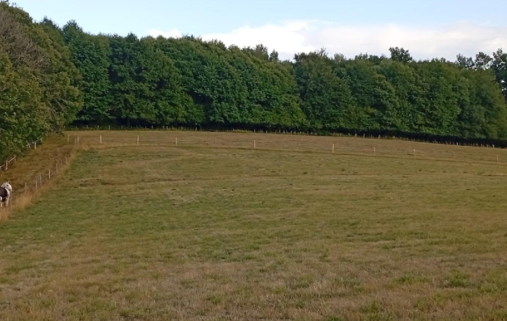 Terrain LA GENEYTOUSE (87400)  151 596 m2 232 000 € 