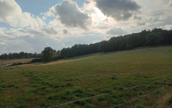 Terrain LA GENEYTOUSE (87400)  151 596 m2 232 000 € 