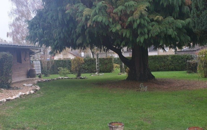 Maison CHATEAUNEUF-LA-FORET (87130)  114 m2 159 000 € 