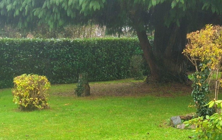 Maison CHATEAUNEUF-LA-FORET (87130)  114 m2 159 000 € 