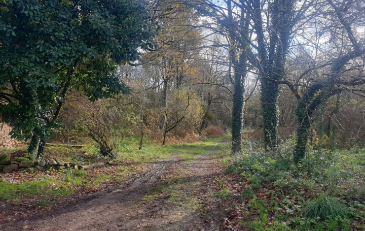 Maison CHATEAUNEUF-LA-FORET (87130)  173 m2 199 000 € 